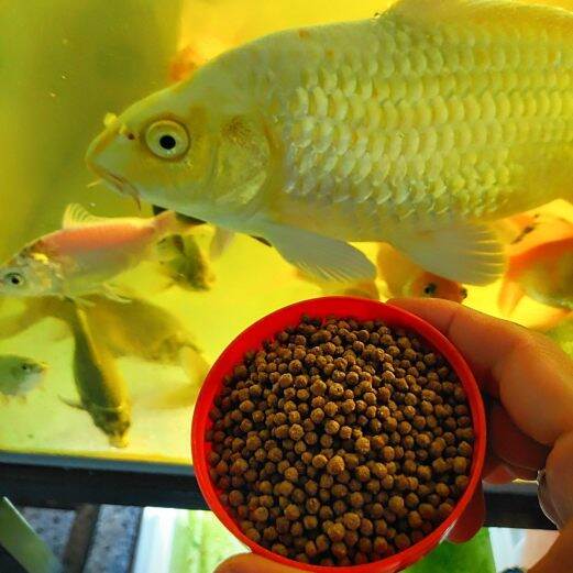 200g Thức ăn cho cá cảnh, baba cảnh
