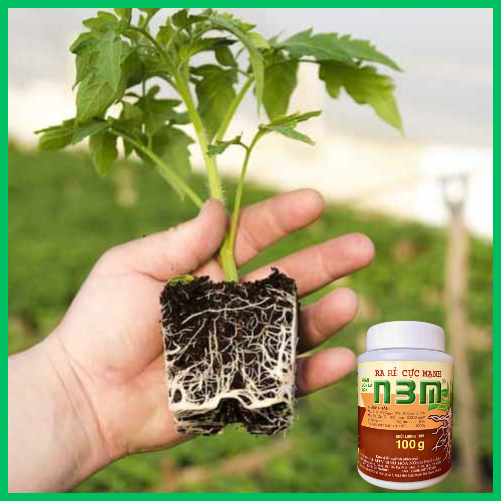 Phân Bón Ra Rễ Cực Mạnh N3M - Kích Rễ Nhanh, Tăng Tỷ Lệ Sống | Chính Hãng, Giá Tốt