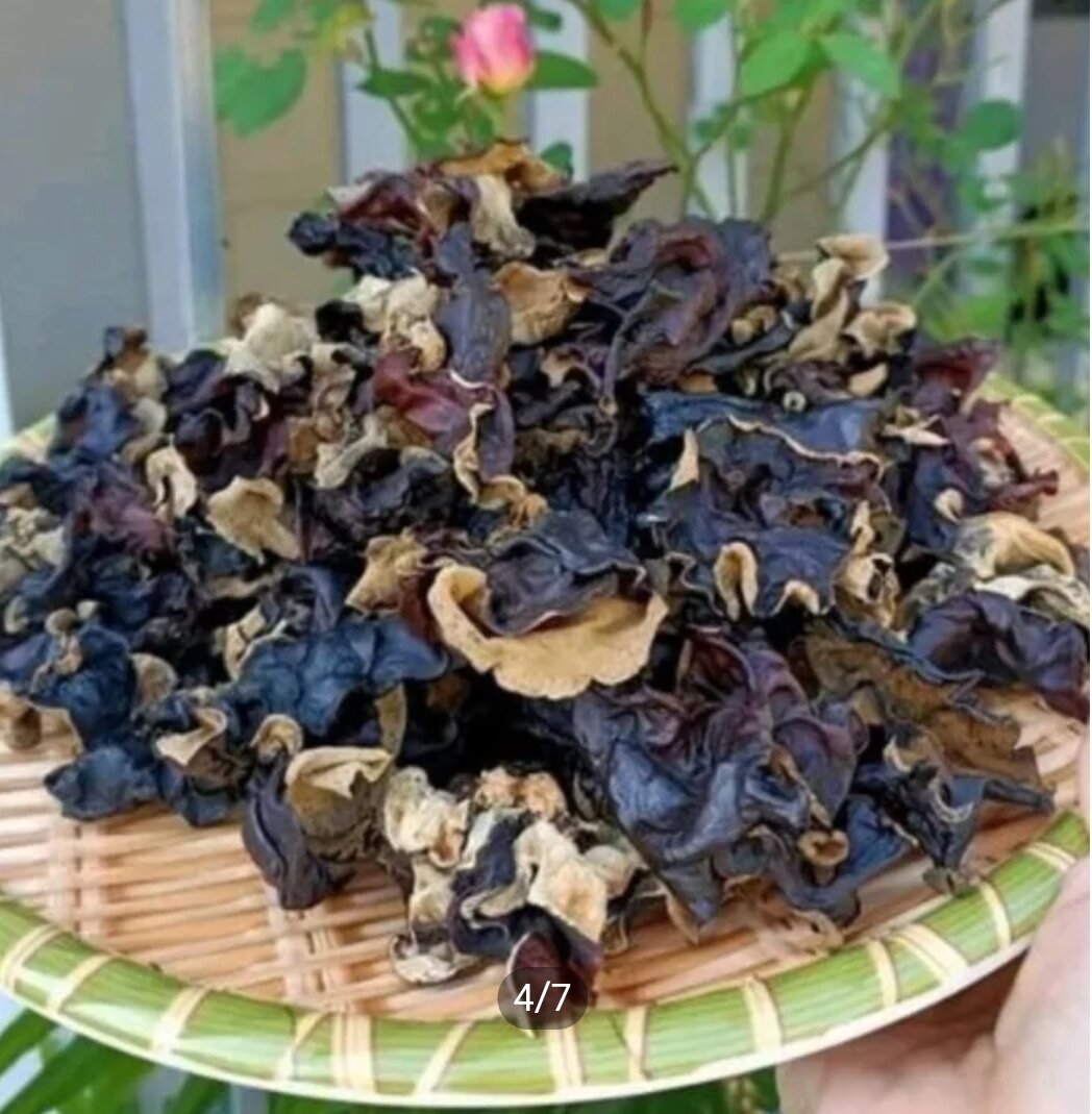 500g mộc nhĩ rừng Tây Bắc