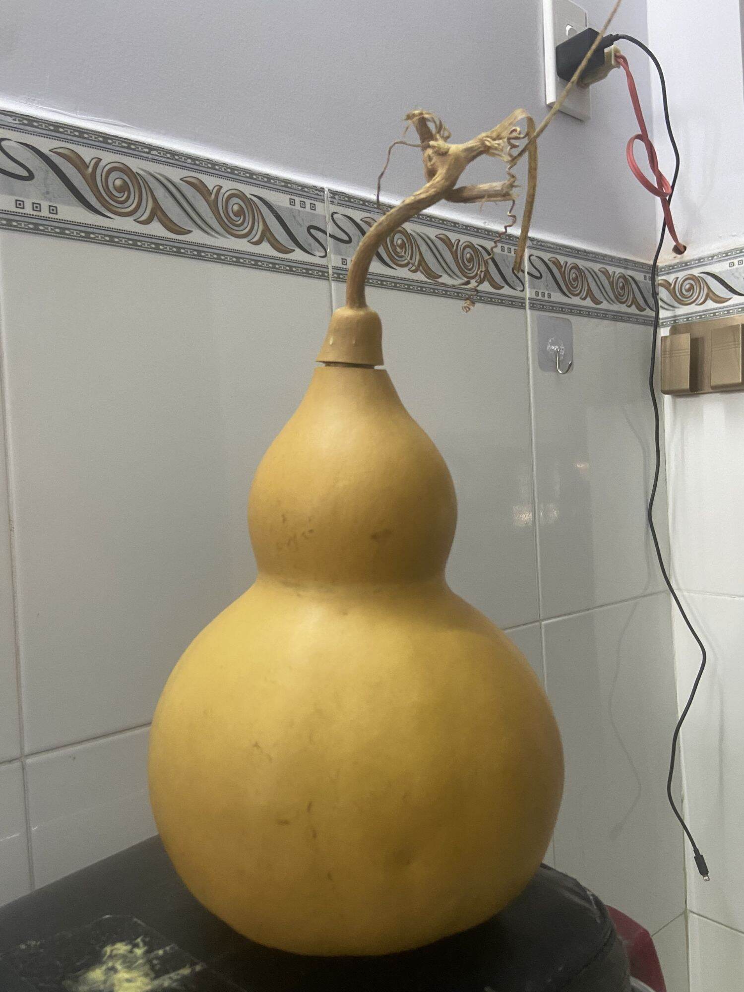 Bầu hồ lô đựng nước size lớn