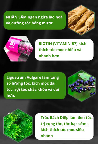 xịt mọc tóc của thái lan.