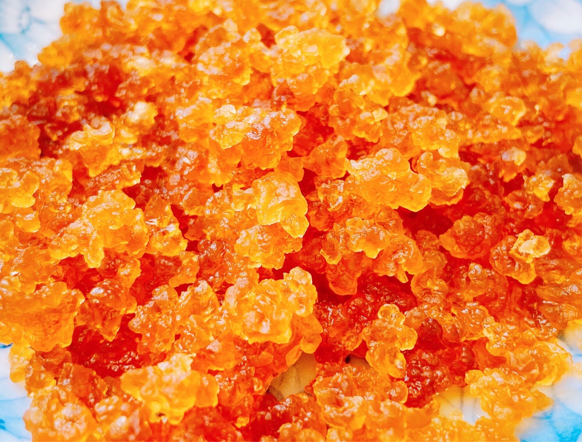 Nấm nước water kefir 10gr