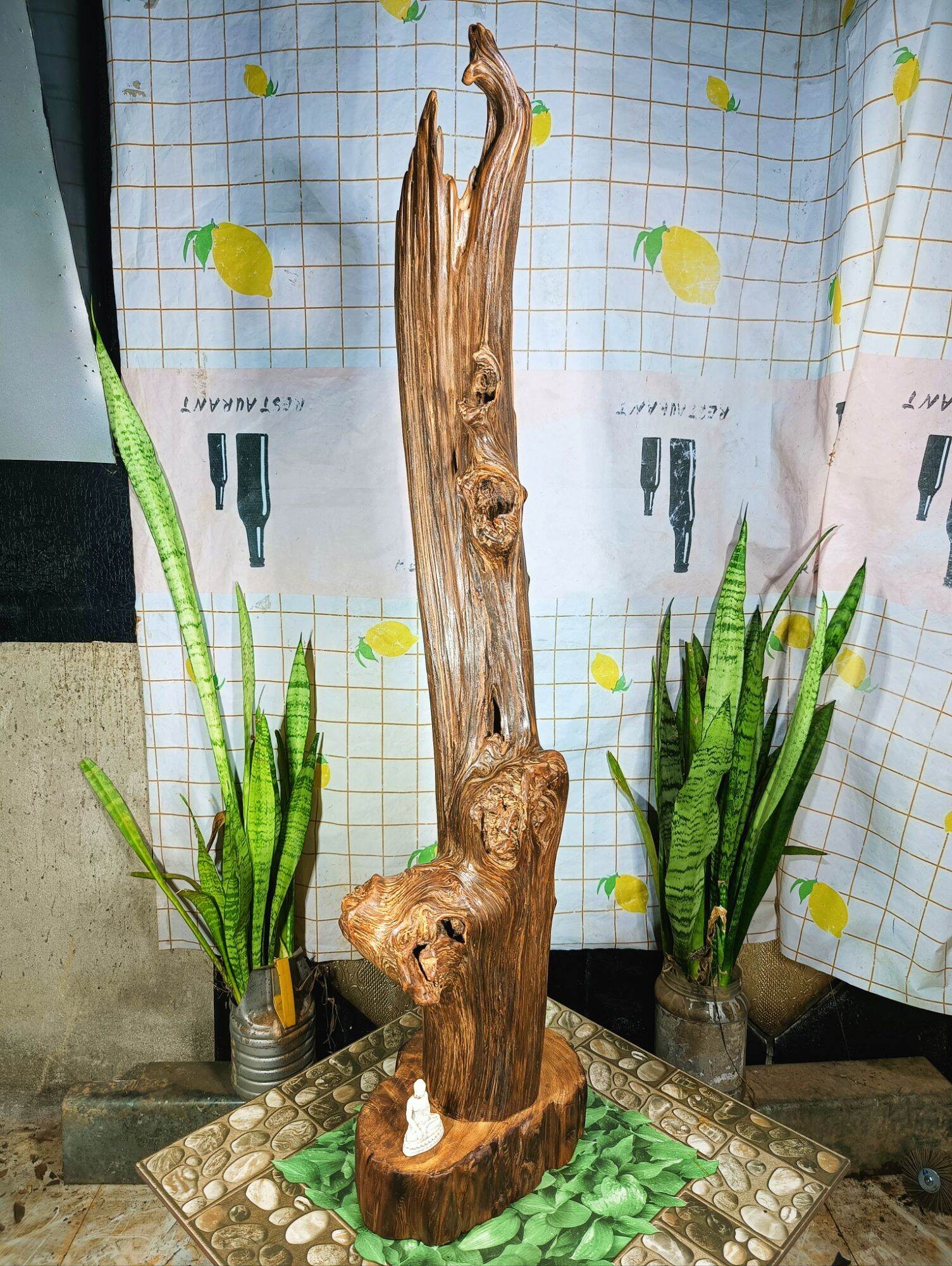 lũa gỗ thơm ngọc am đỏ hà giang