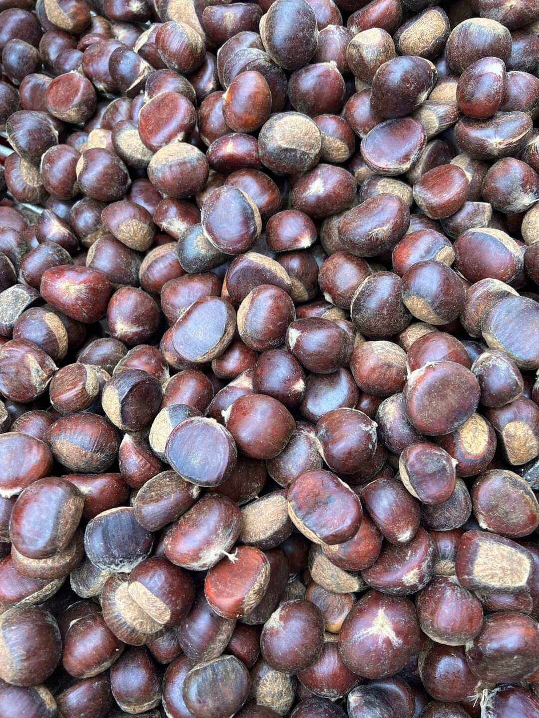 1ki HẠT DẺ TƯƠI [ loại 1 bở ,ngọt ]