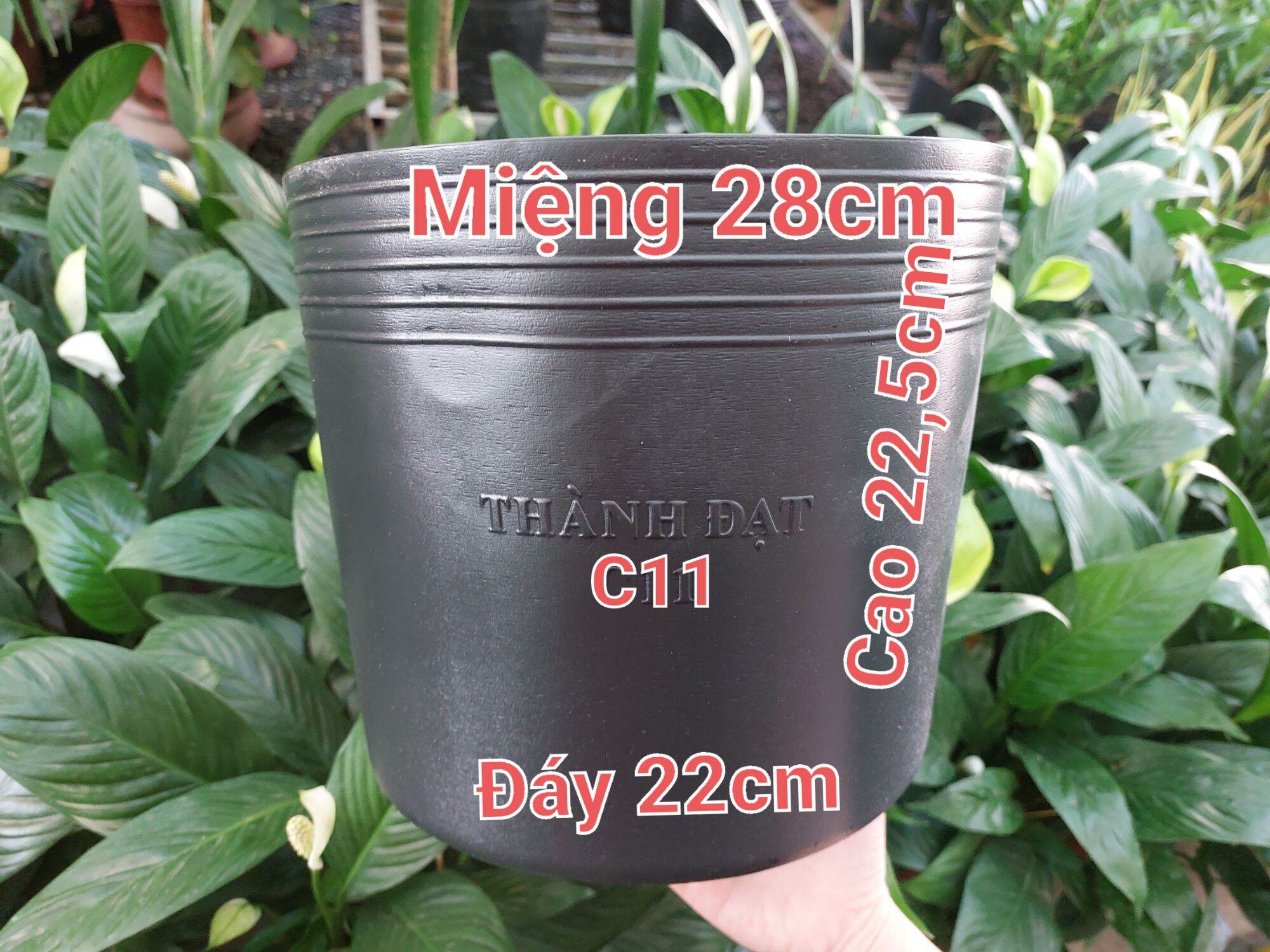 COMBO 5 Cái Chậu Nhựa ĐỎ+ ĐEN C11 (Loại dày tốt)