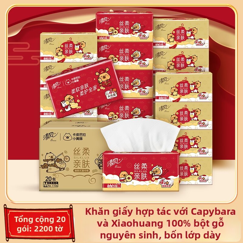 Household Drawn Tissue 110 draws 20 packs - 2