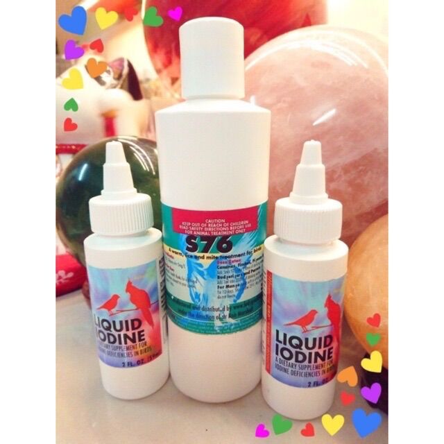 [HCM]S76 phòng rận mạt cho chim chai 10ml