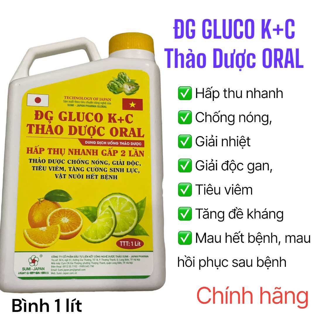 ĐG GLUCO K C THẢO DƯỢC ORAL 1 Lít điện giải cung cấp đầy đủ vitamin, chống nóng, chống stres, tăng đề kháng, tăng cường sinh lực, mát gà, bù điện giải