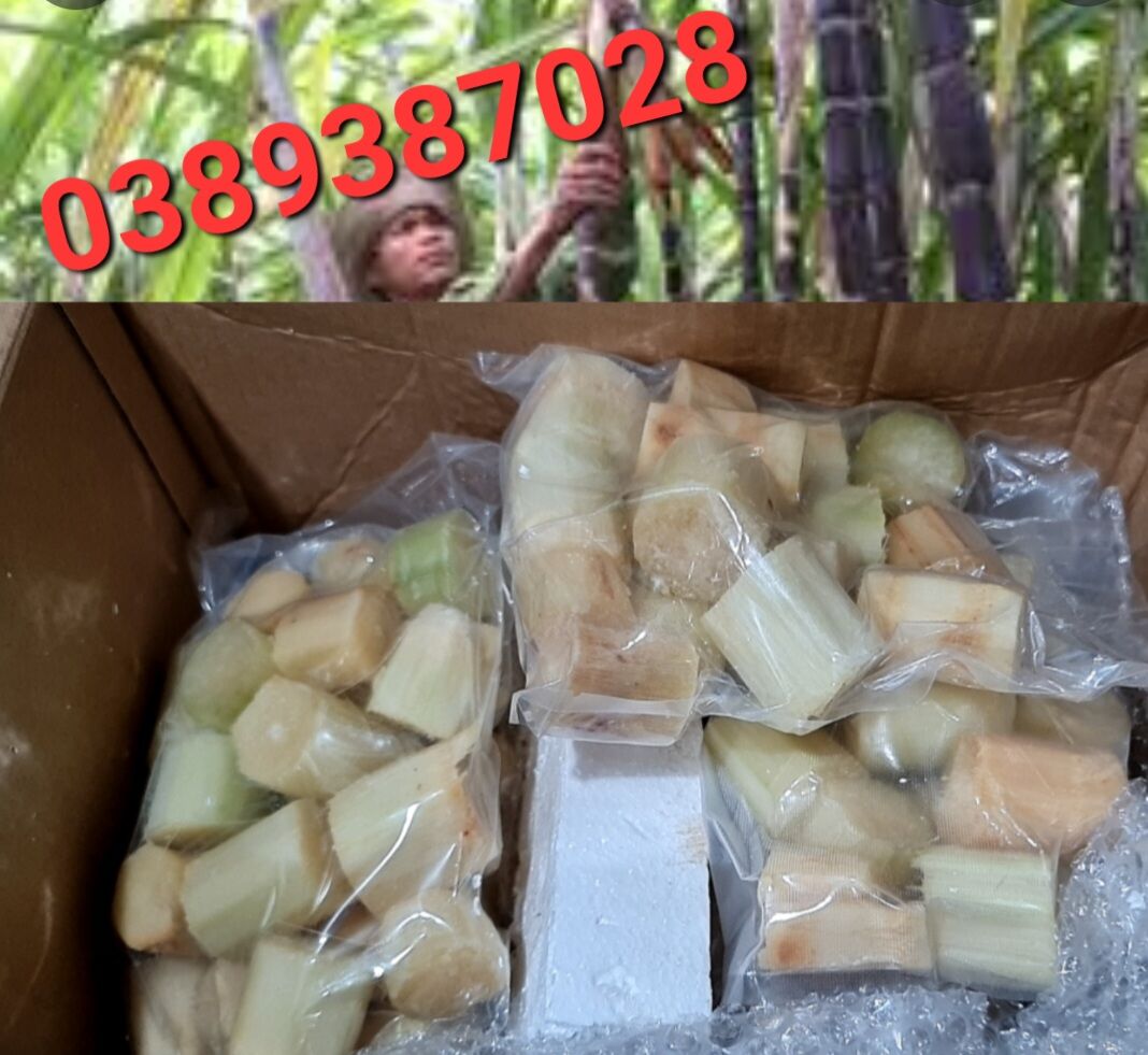 mía tím hút chân không sau khi có đơn,2kg
