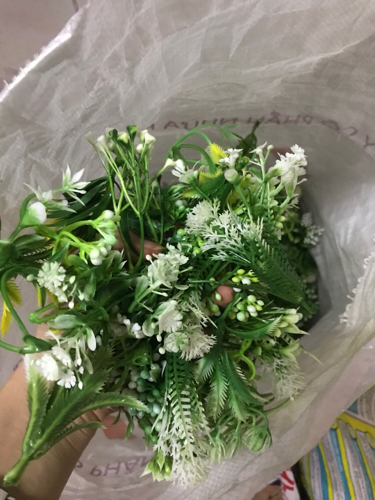 Cỏ điểm 1 lạng