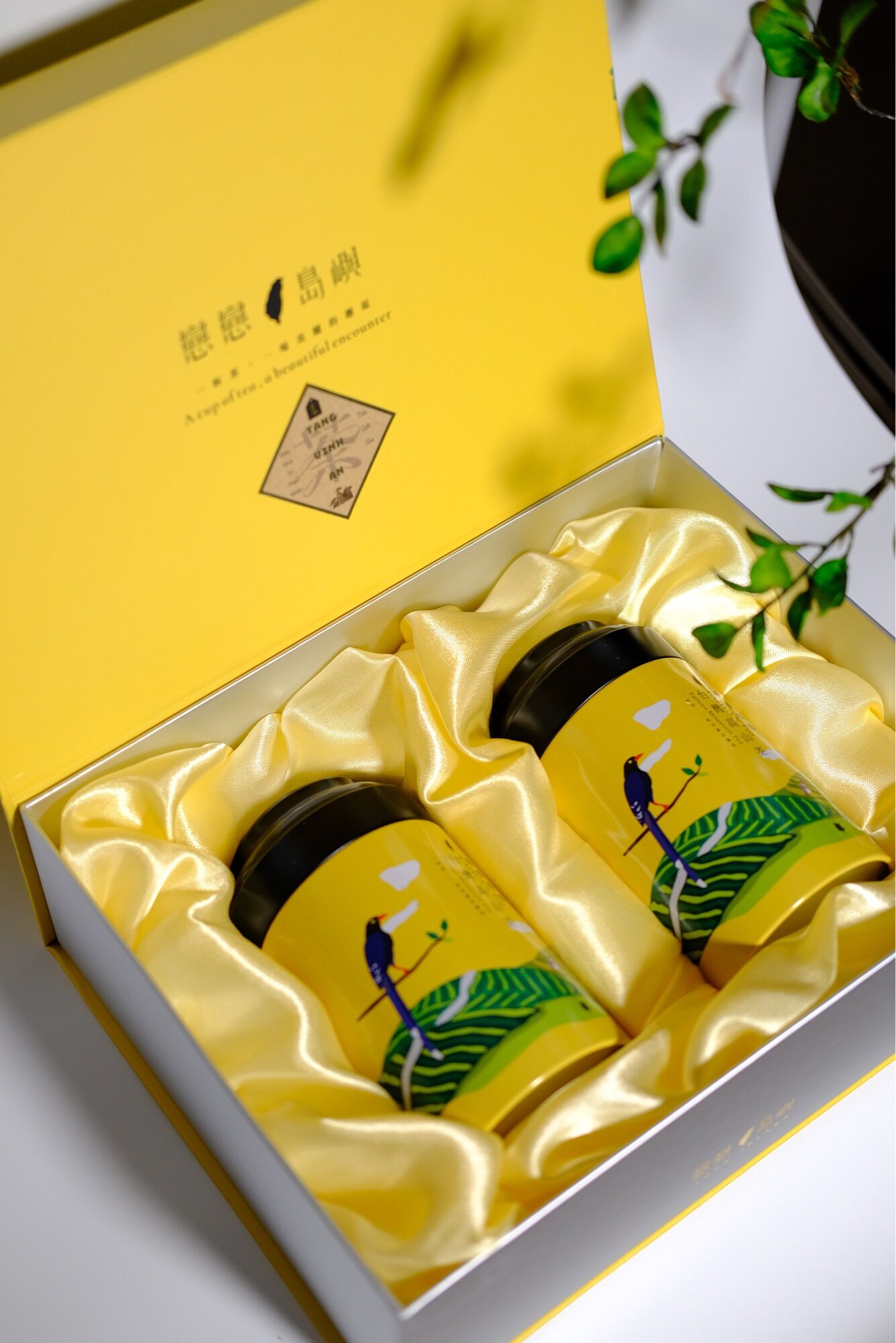 Set quà tặng Tết Olong Thanh Xuân