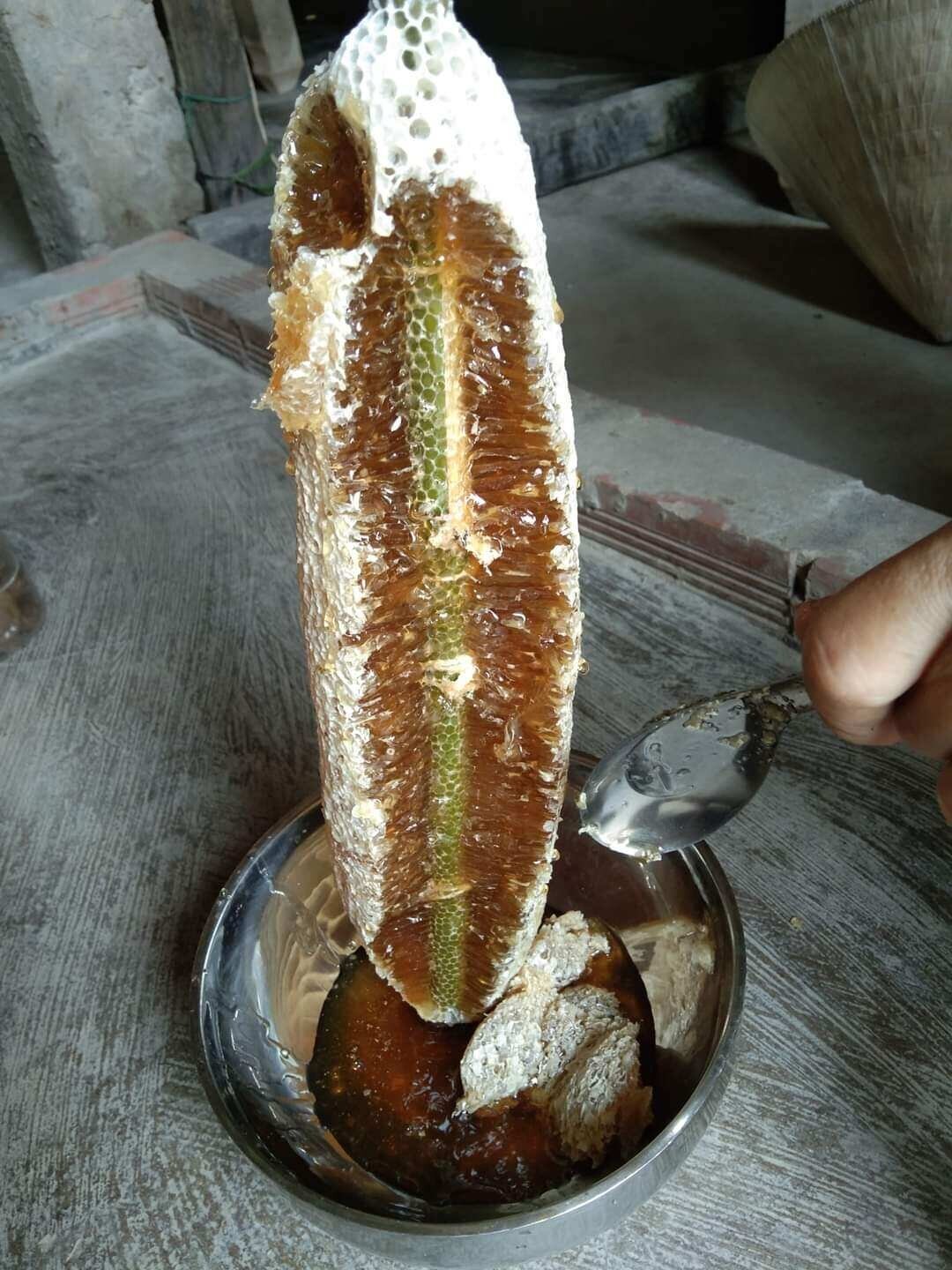 Mật ông ruồi thiên nhiên
