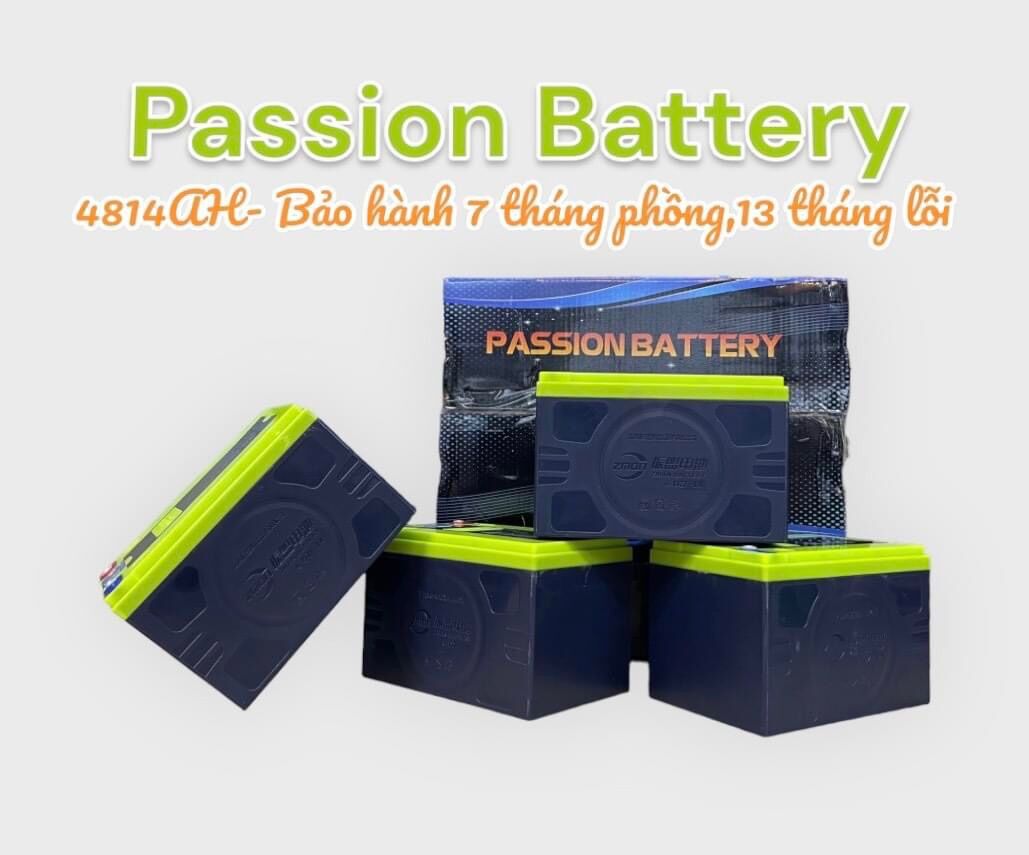 Bình ác quy khô xe điện pasion 12v-14ah