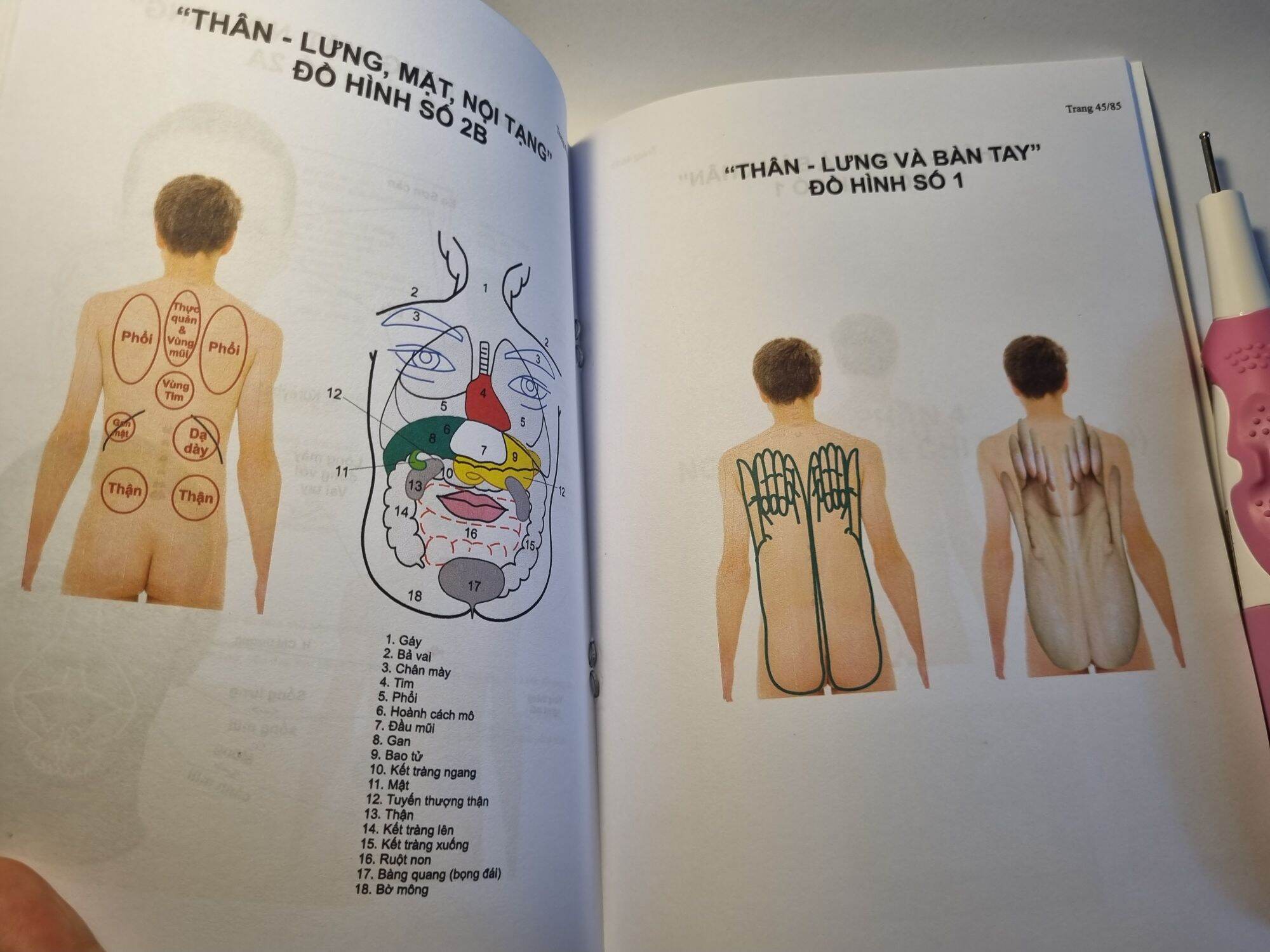 sách đồng ứng - dụng cụ diện chẩn
