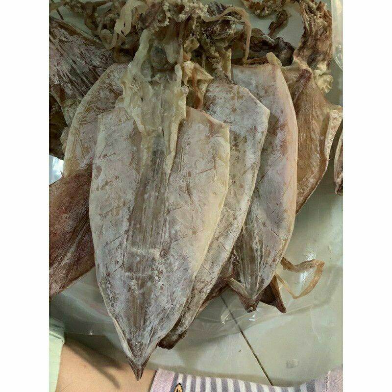 1 con mực loại ngon y hình