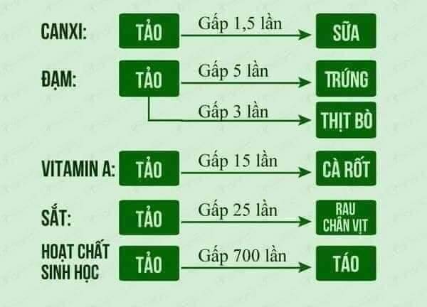 ủ tảo alota