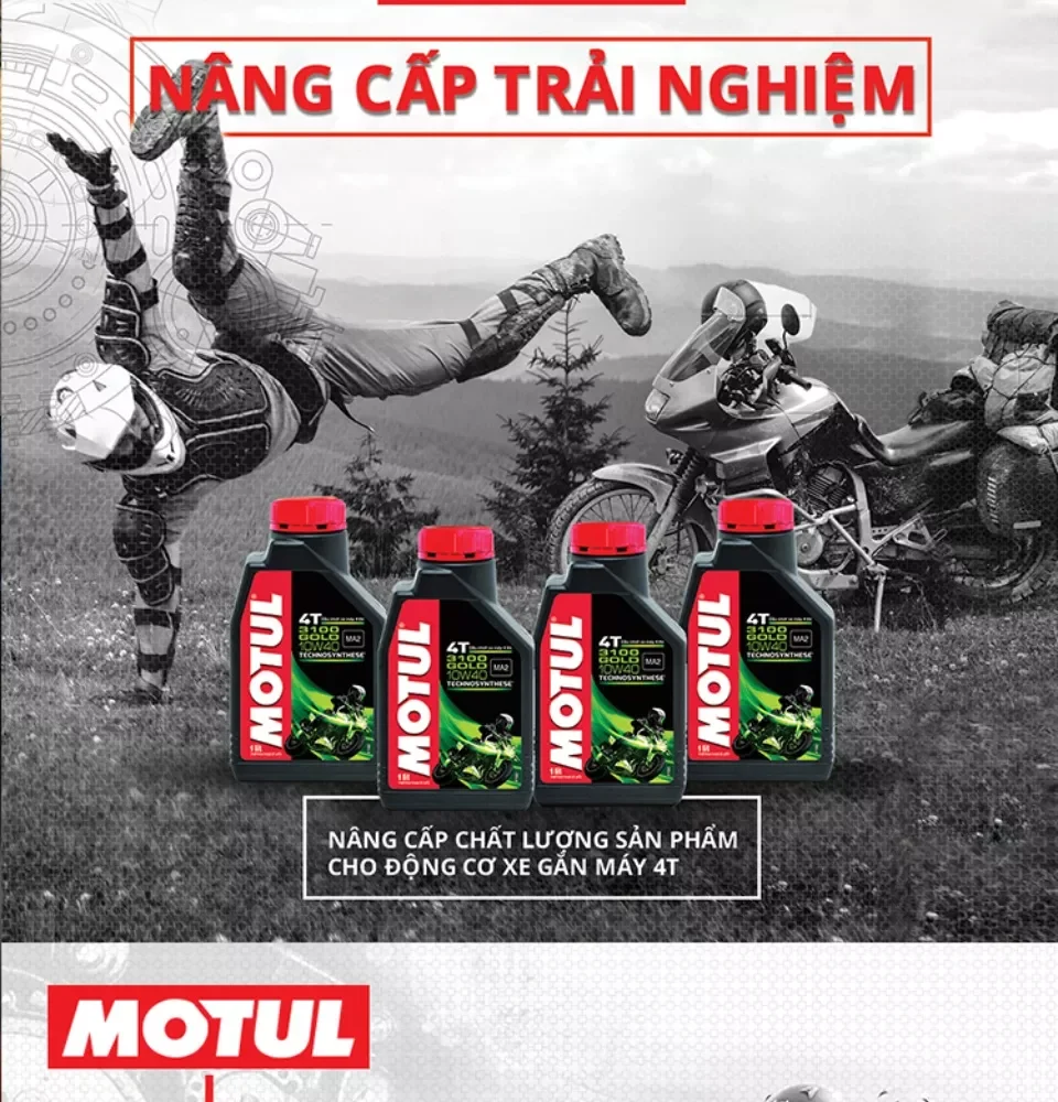 Nhớt motul 3100 gold