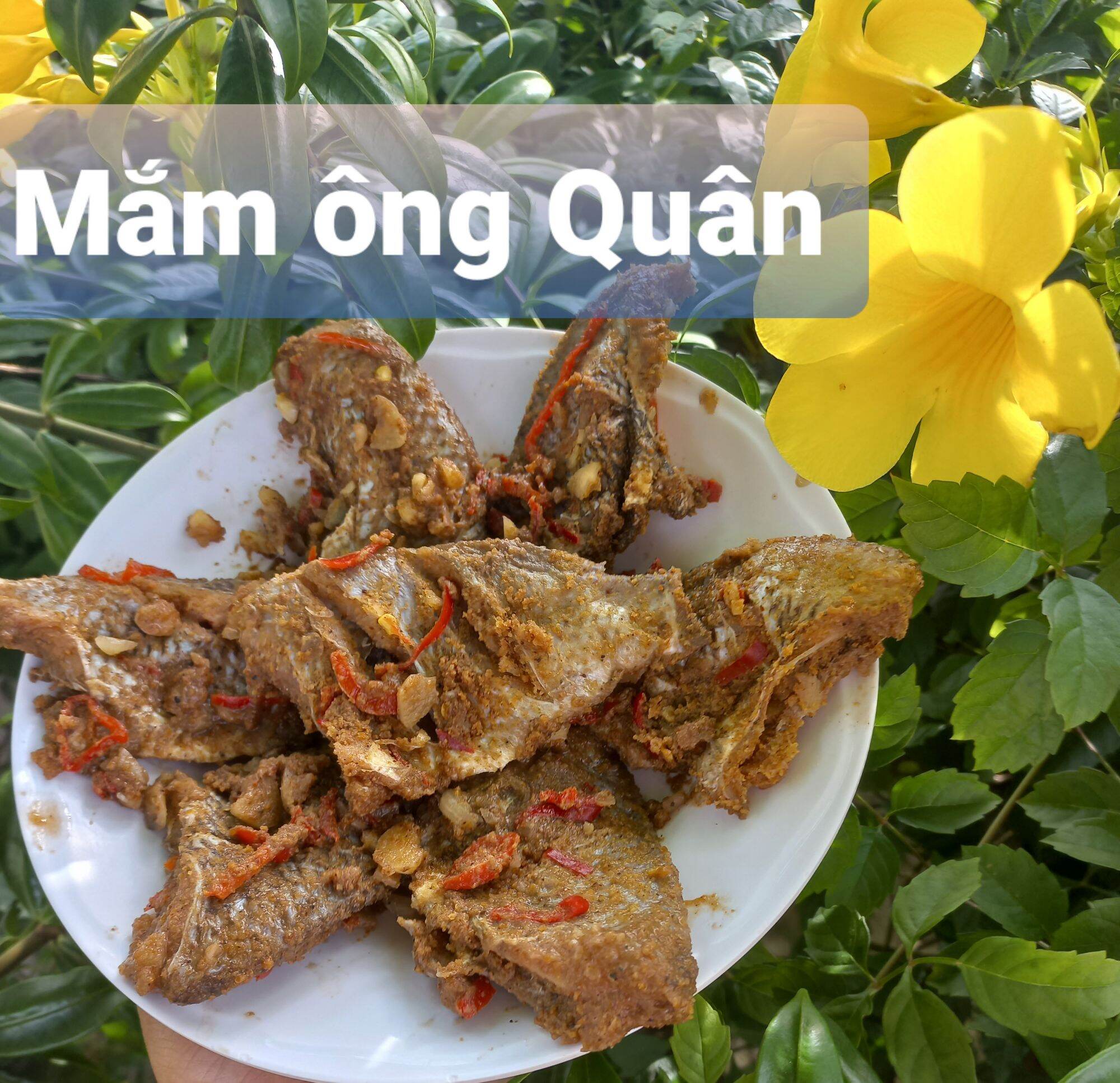 Mắm cá phi 1kg/90k