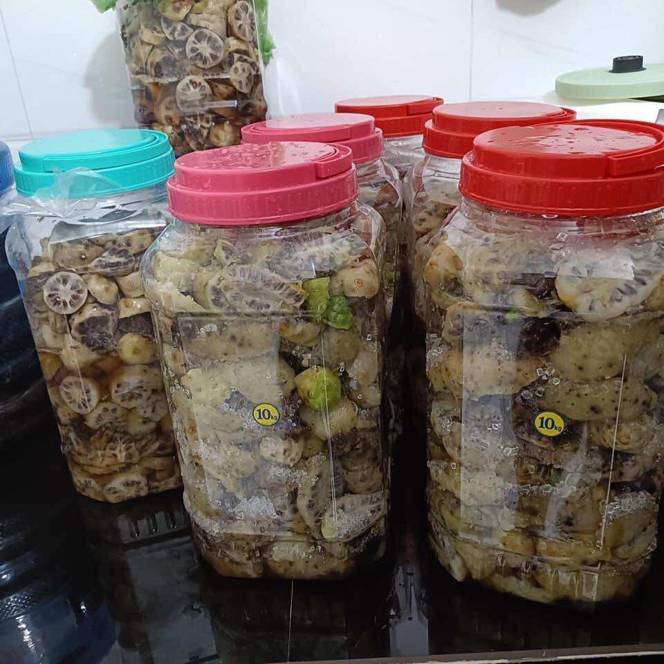 Nhàu tươi ngâm đường phèn bình 10 lít