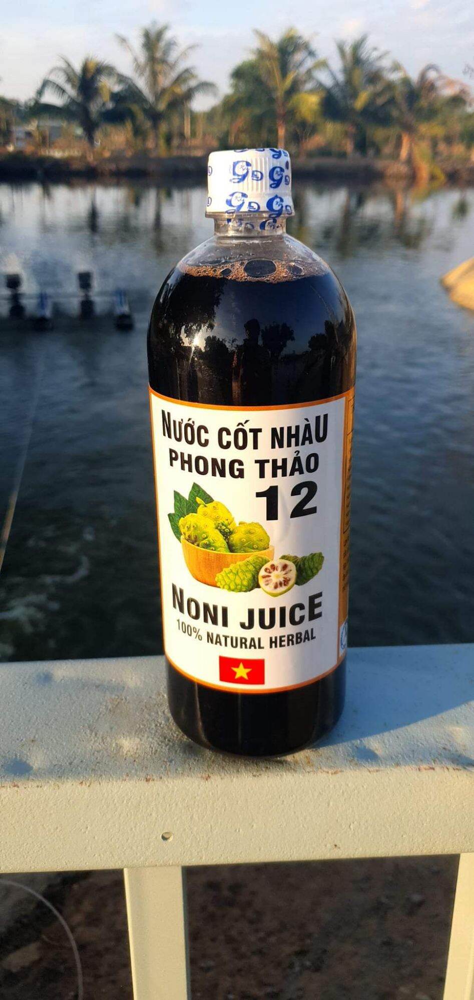 NƯỚC CỐT TRÁI NHÀU - NONI JUICE