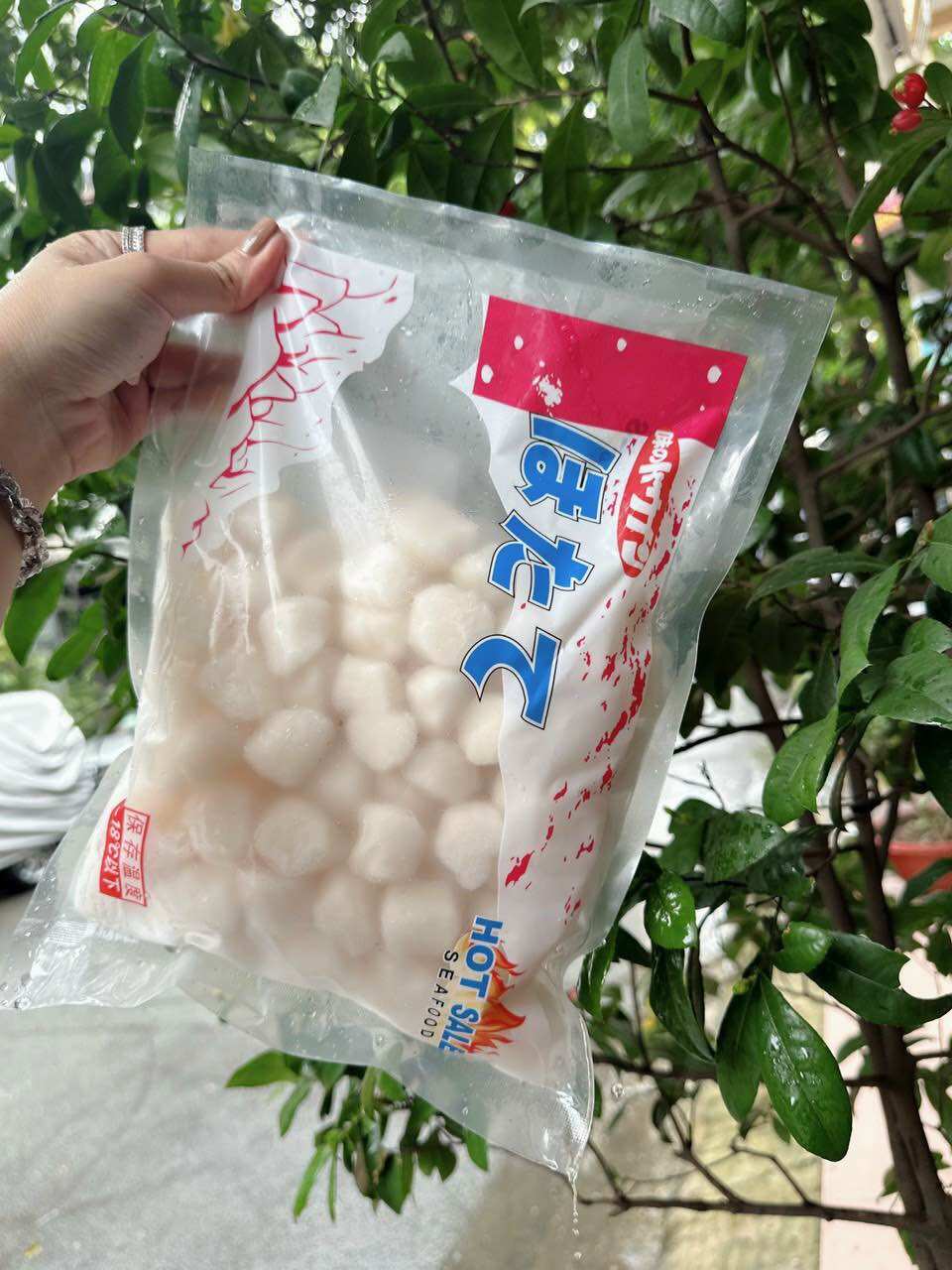 Cồi sò điệp nhật size 60-80 bịch 1kg