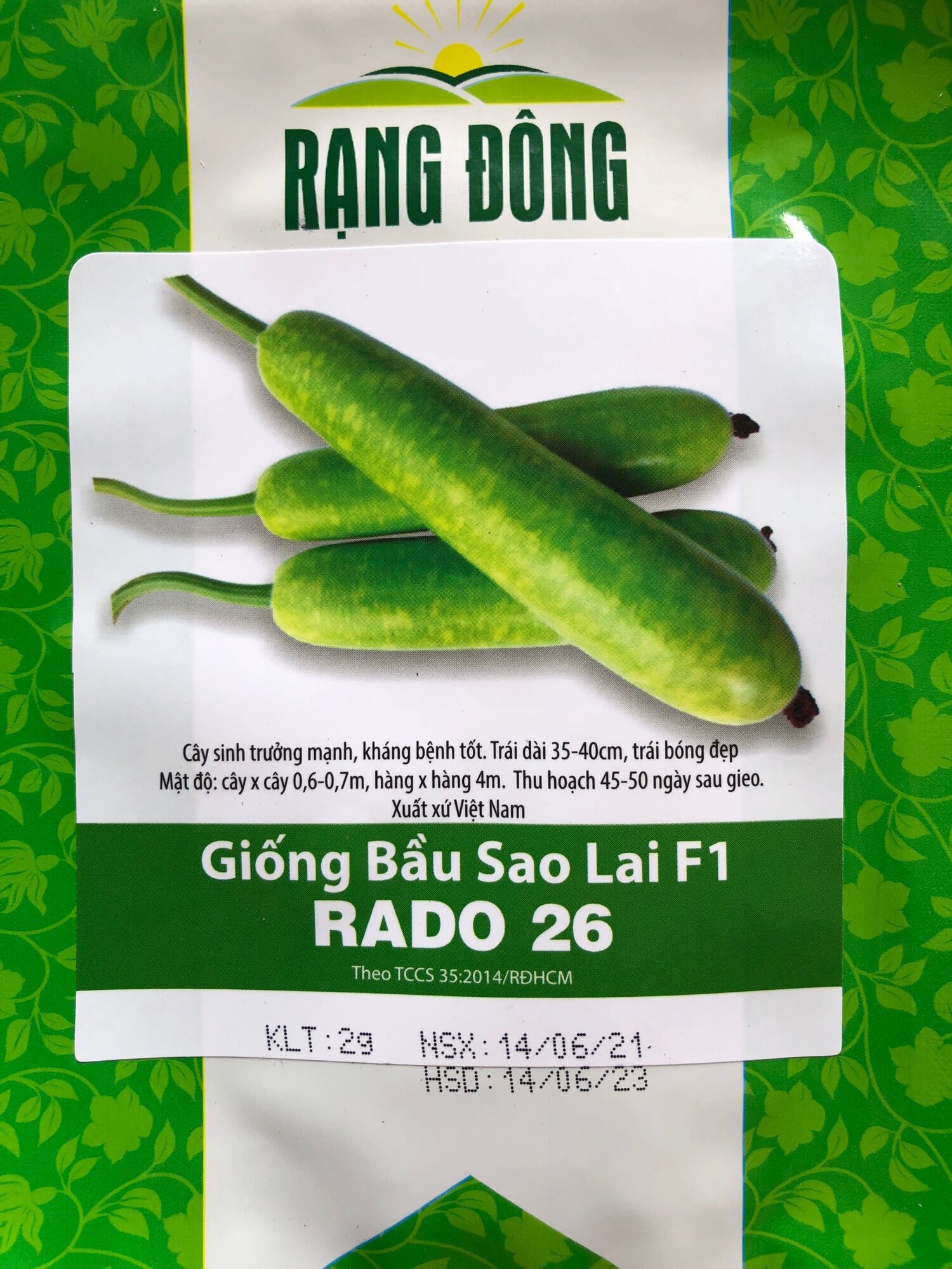 Bầu sao lai f1 rado