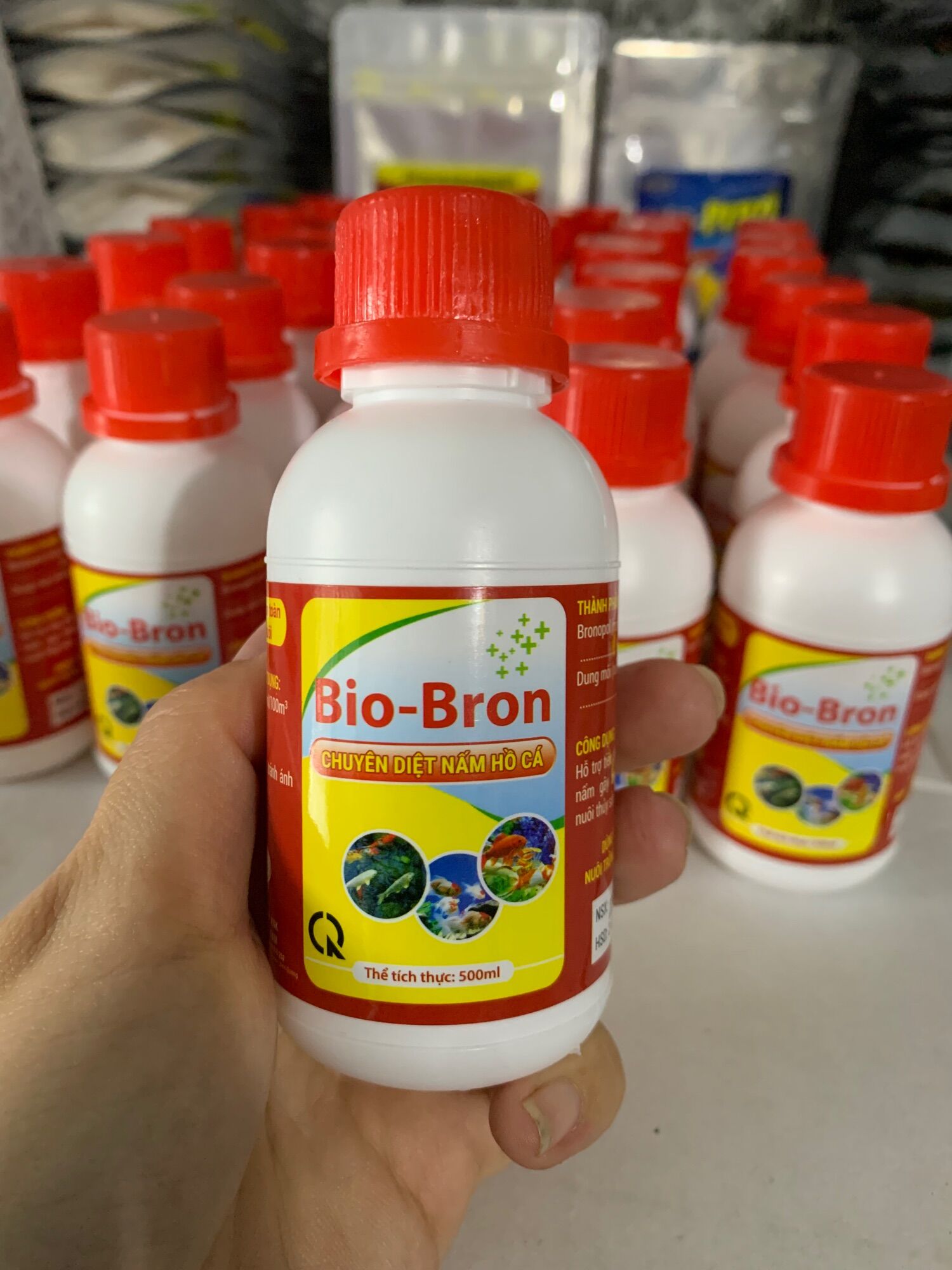 DIỆT NẤM CHO HỒ CÁ KOI, CÁ CẢNH