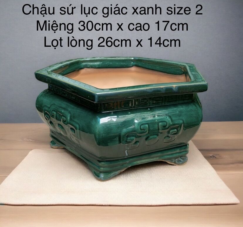 Chậu sứ lục giác hoa văn Bình Dương size 2