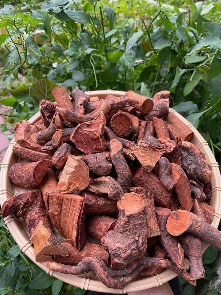 60k/1kg rễ cây mú từn khô tây bắc