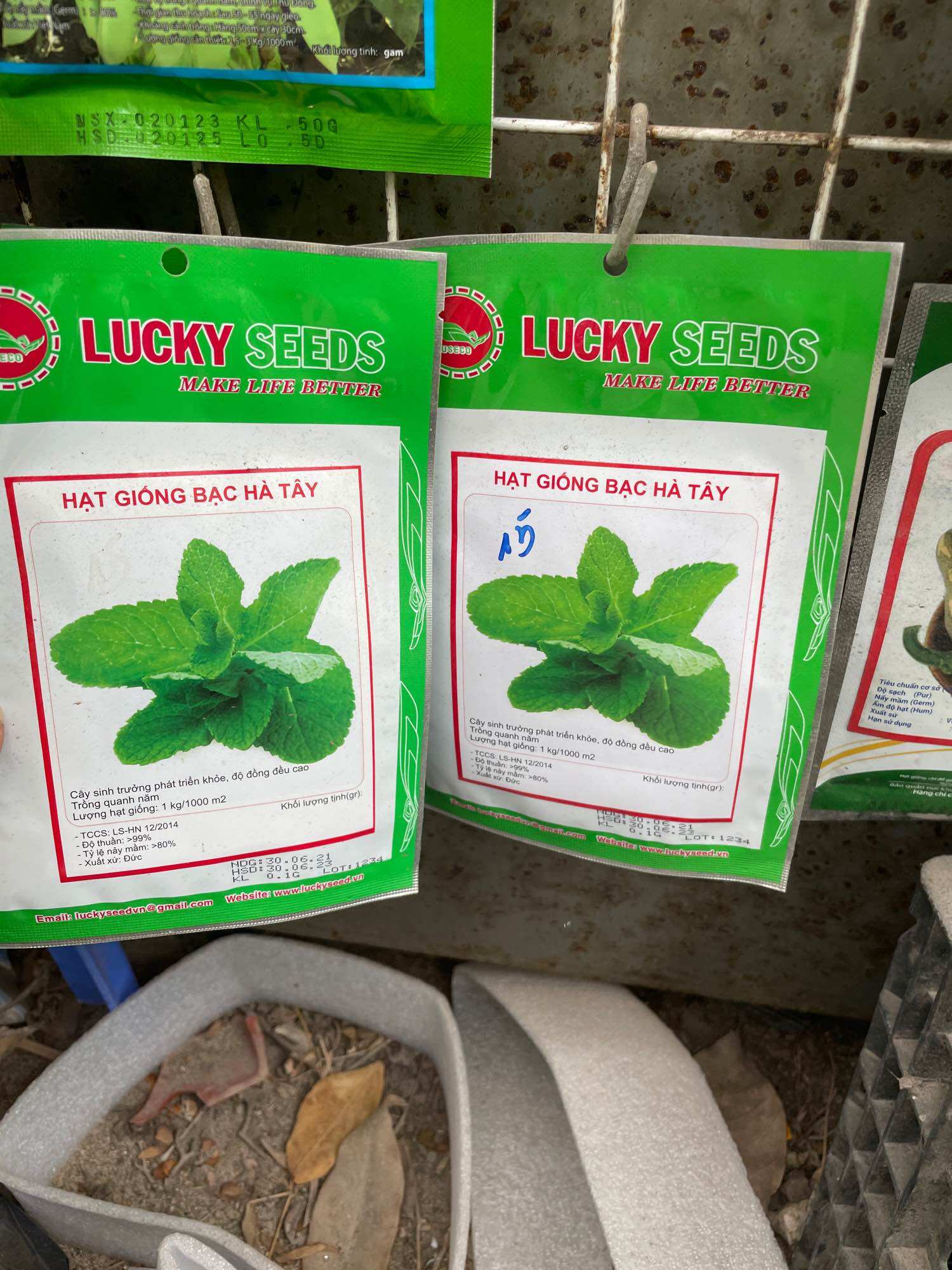 Hạt Giống Bạc Hà Tây