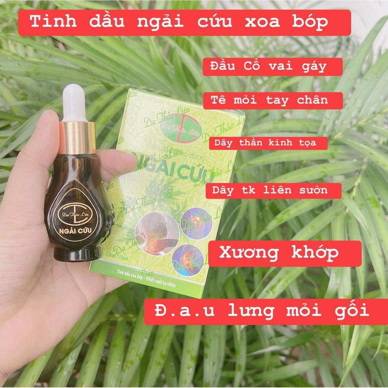 Tinh dầu ngải cứu Dạ Thảo Liên 10ml