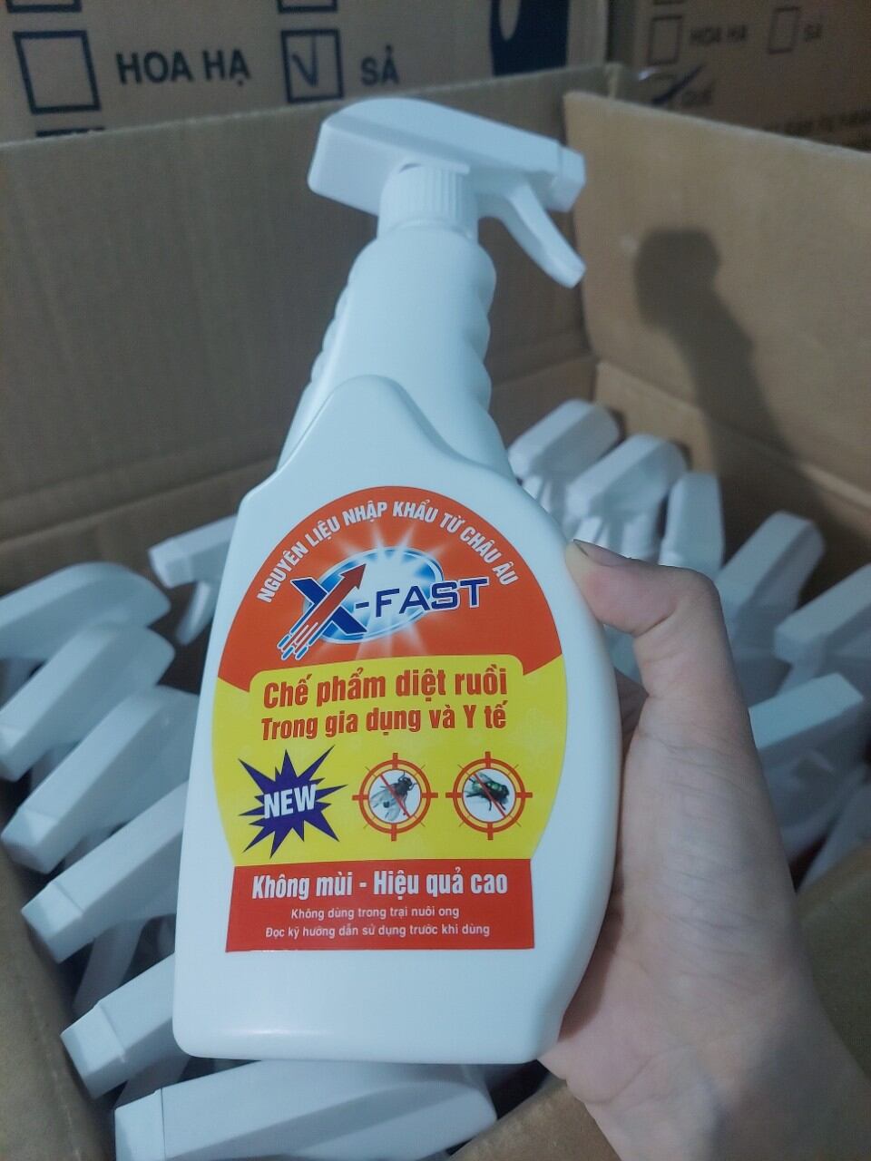 Xịt ruồi Fast 350ml