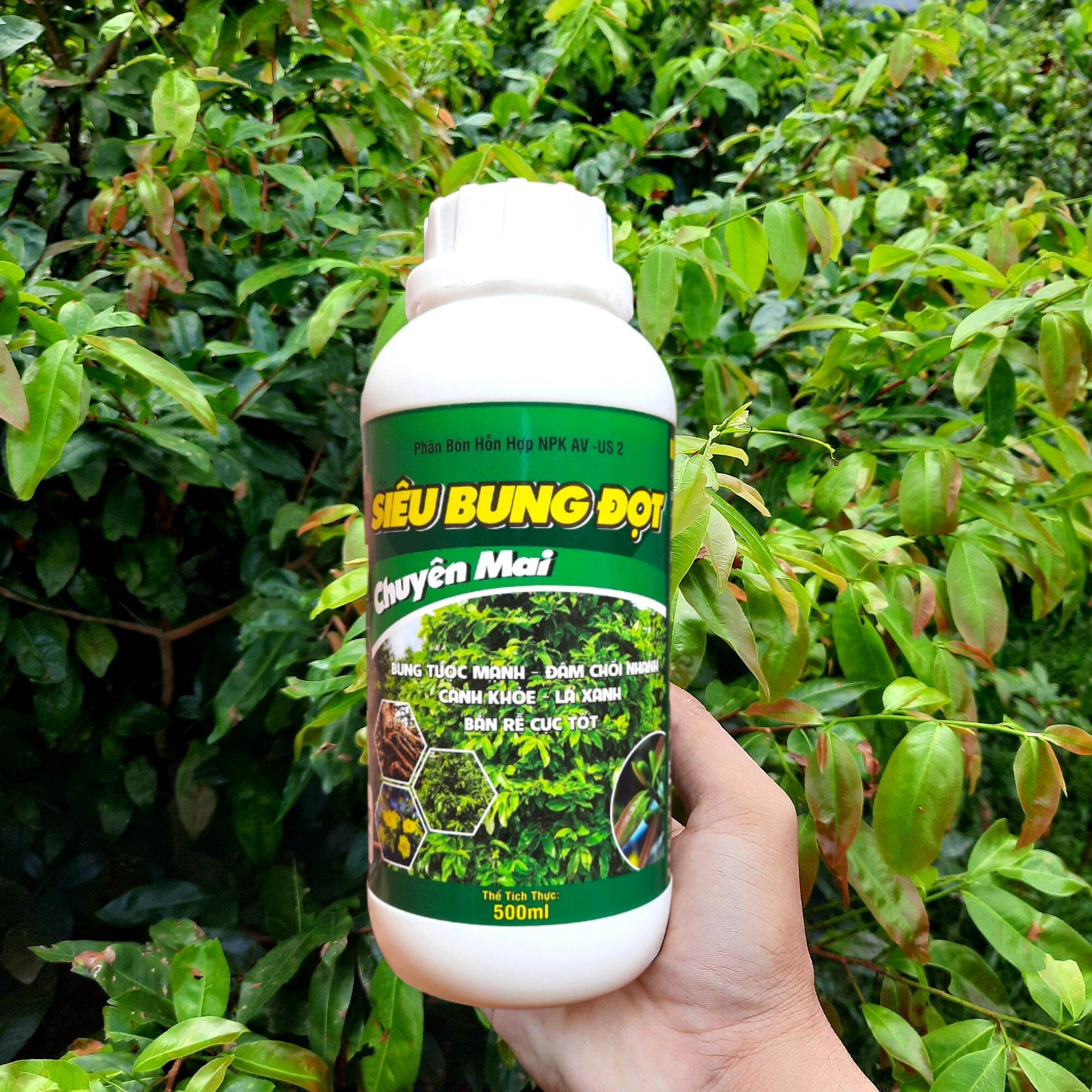 Siêu bung đọt ra rễ chuyên mai - phân bón cho mai vàng chai 500ml thế hệ mới chuẩn công ty