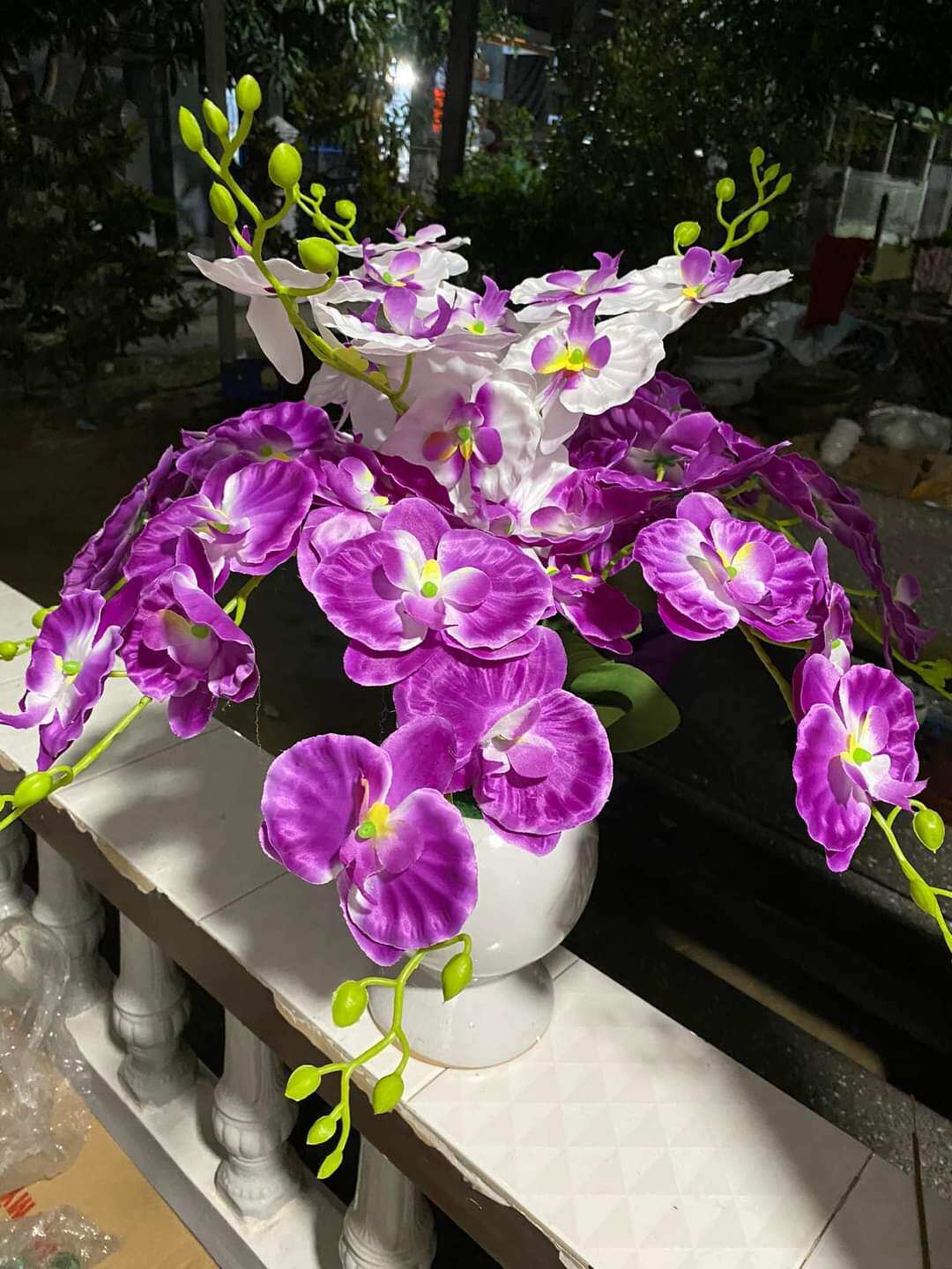 Cành hoa Lan Hồ Điệp thân dài 60cm