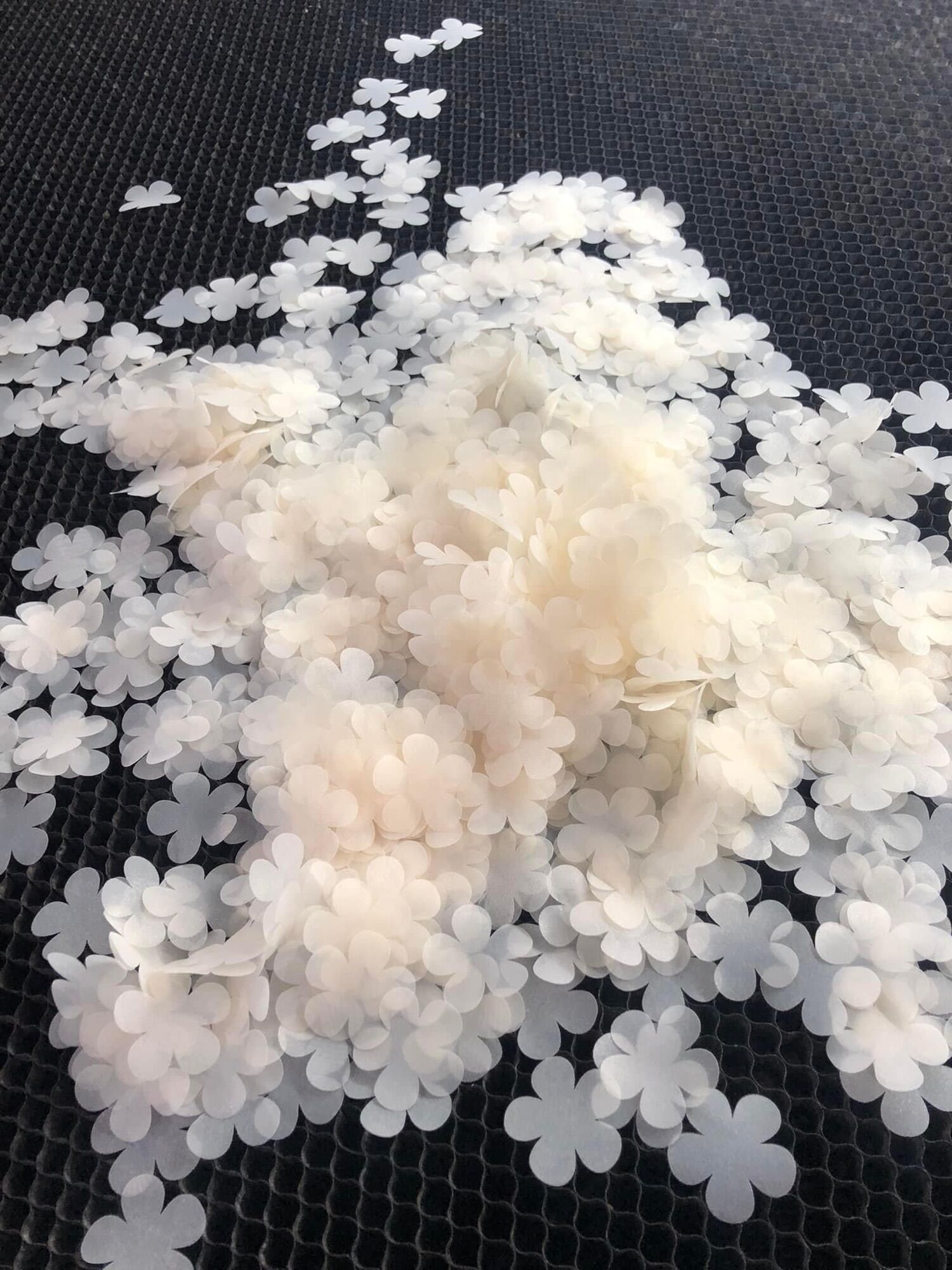 SÉT 50 cánh hoa voan kem size 4.8cm ( voan thì phải mỏng)