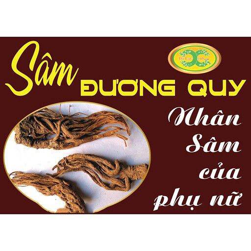 Sâm Đương Quy Củ Khô Sạch 500G