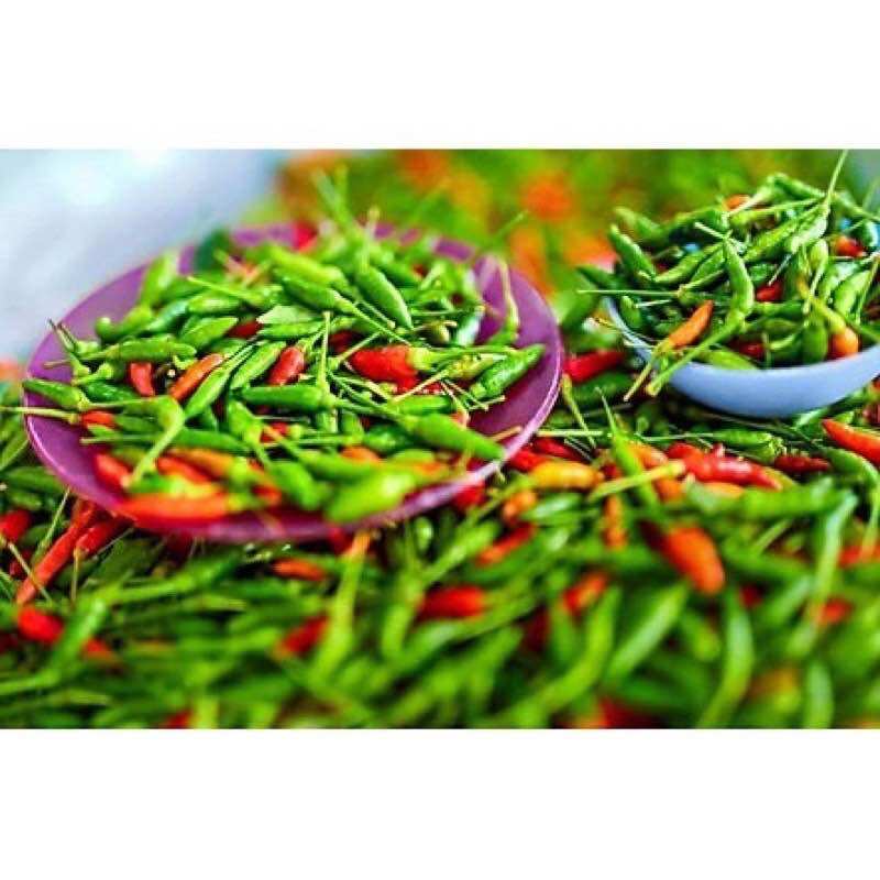 Hạt giống ớt xiêm (0.1gr), siêu cay dễ trồng