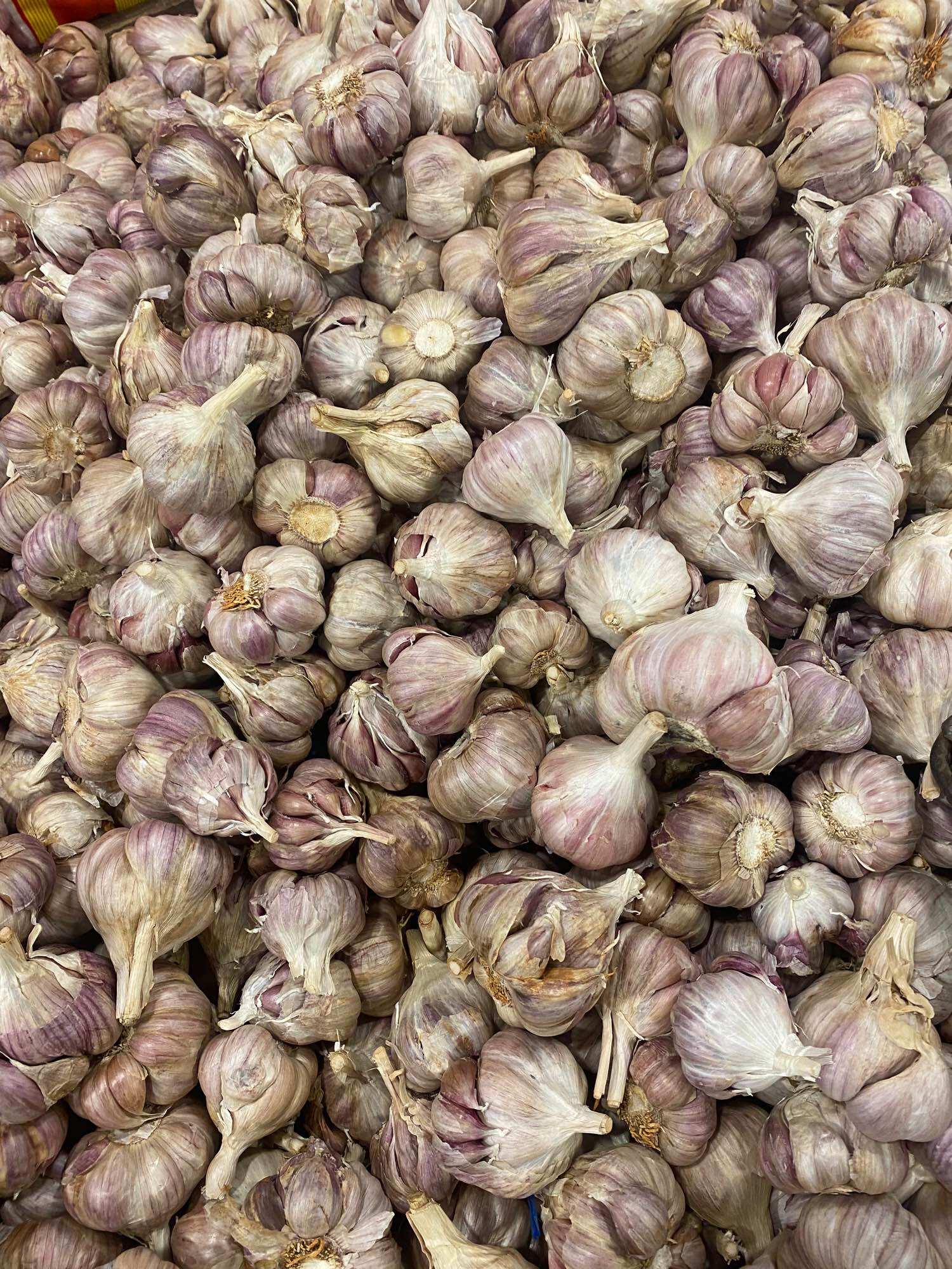 Tỏi tím bắc 1kg hàng loại 1