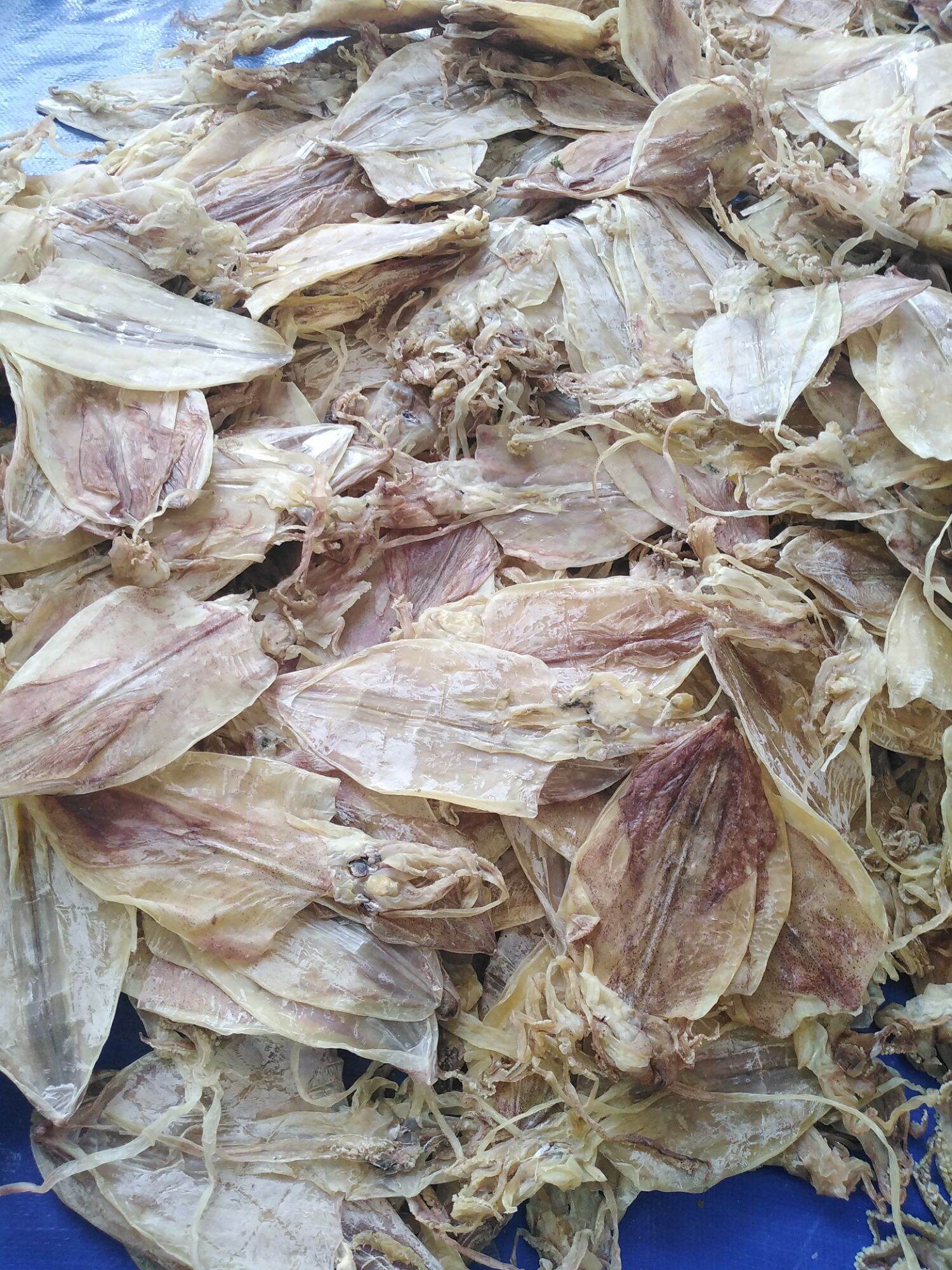 5 con khô mực như hình