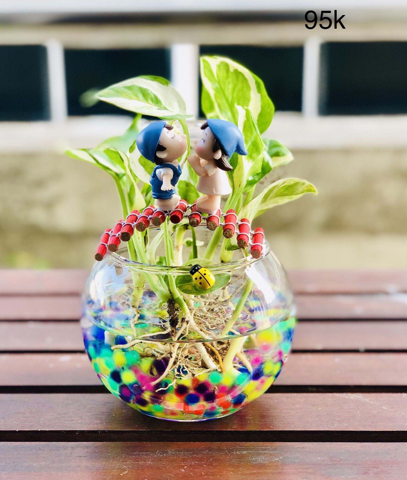Chậu tiểu cảnh trầu bà sữa, cây văn phòng, cây thuỷ sinh để bàn