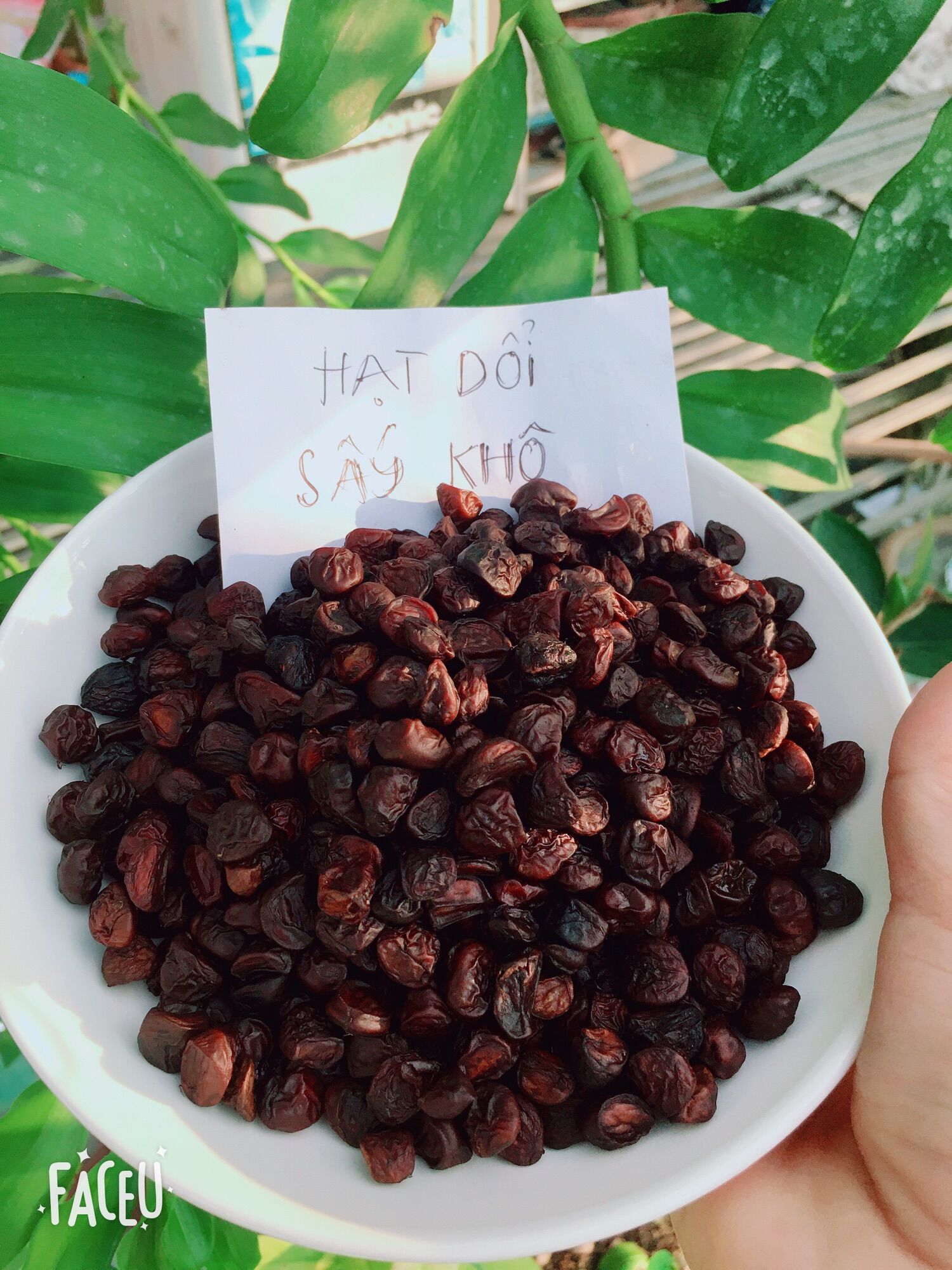 Dổi nếp tây bắc sấy khô 125k/lạng
