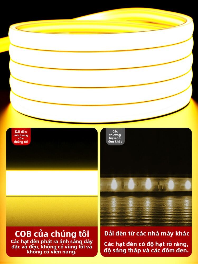 RUILUO | Đèn LED Dải 3 Màu Siêu Sáng Chống Nước 220v