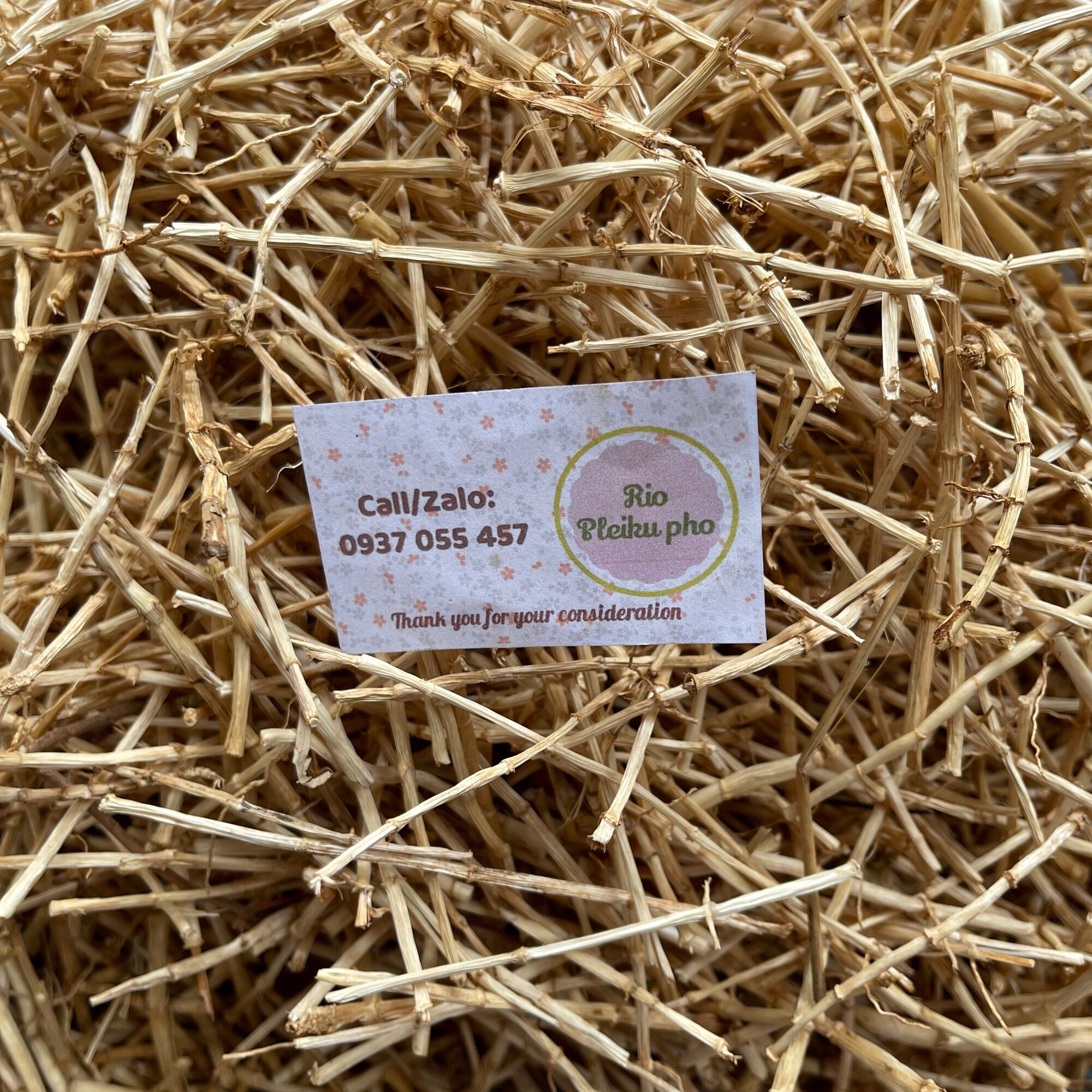 100gr rễ cỏ tranh