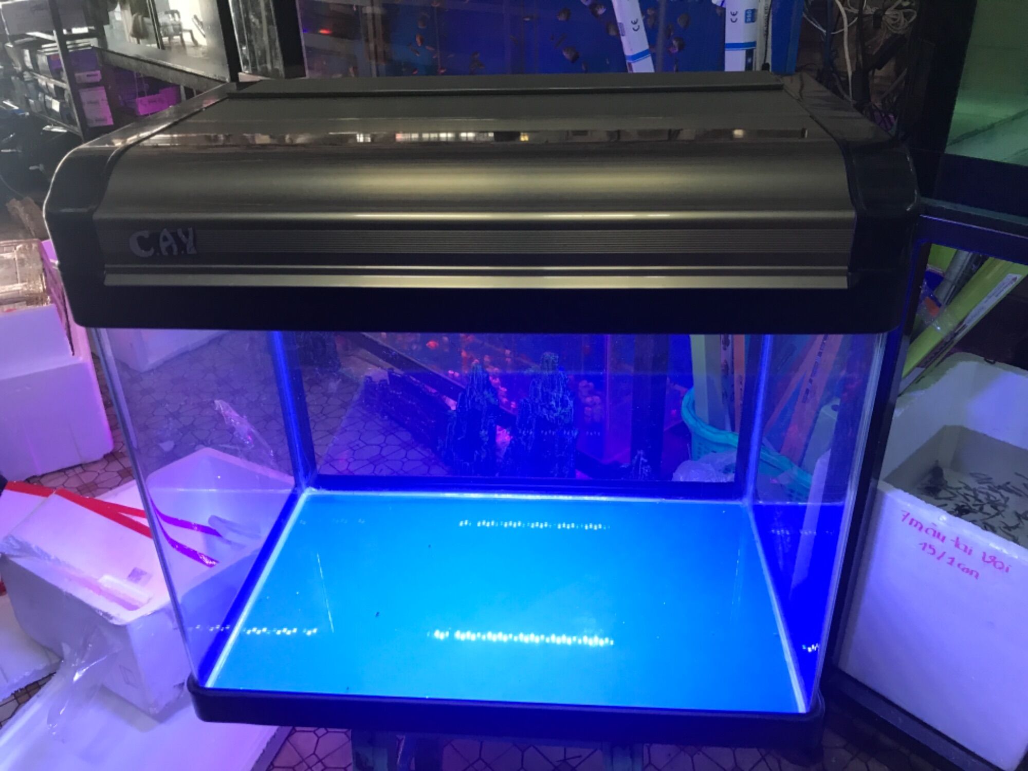 [FreeshipMAX] Hồ đúc có nắp có đèn led có máy lọc dài 62 rộng 40 cao 55cm