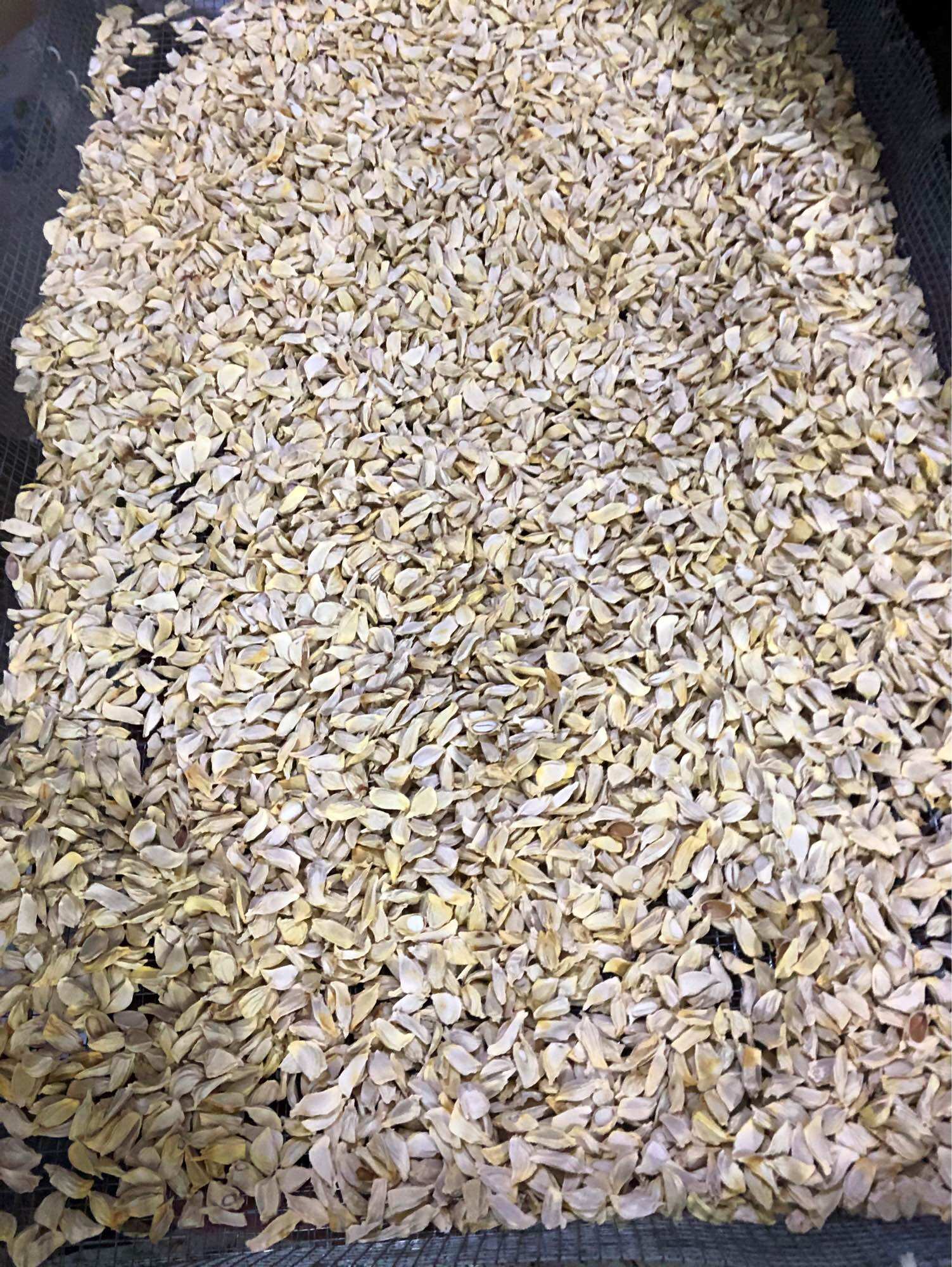 Trà hạt bưởi khô - 500gr