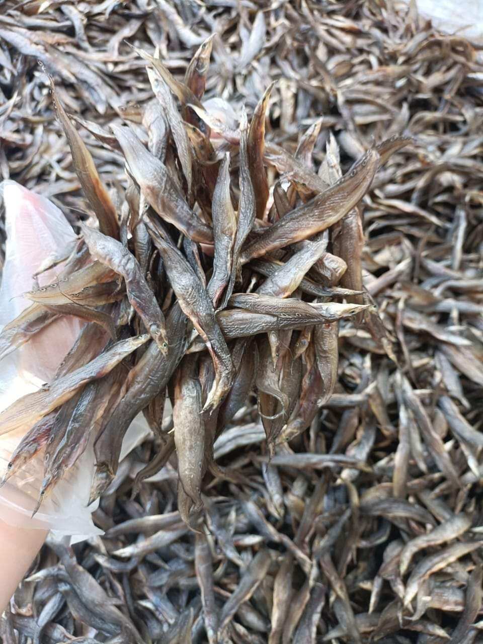 1kg chạch lỡ ướp gia vị vừa ăn, khô ngon chất lượng,Khô Thoại Sơn