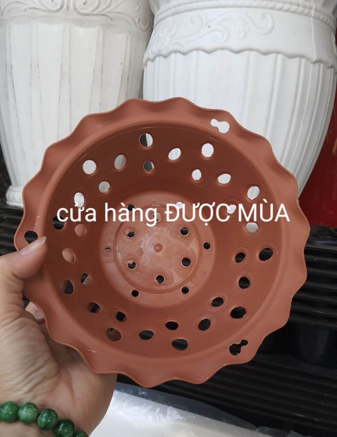 chậu nhựa trồng lan phi 16 miệng bèo 3 màu