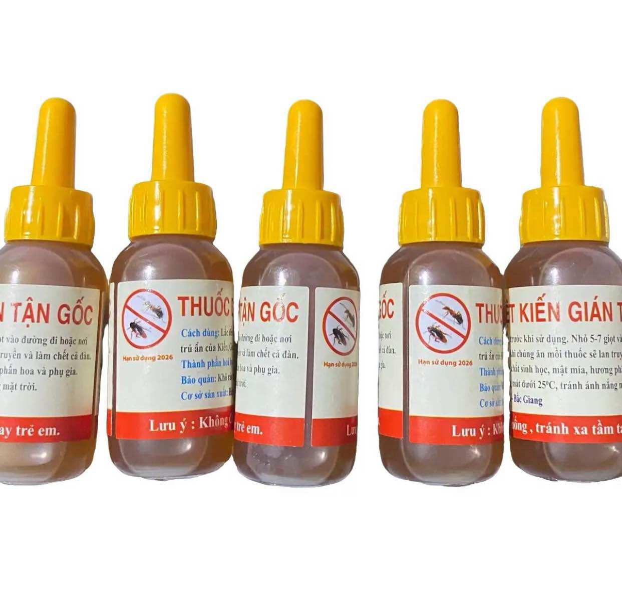 Combo 5 chai thuốc diệt kiến gián thần thánh hàng chuẩn bắc giang nhang - diệt kiến, diệt gián tận gốc hoá chất sinh học mật mía