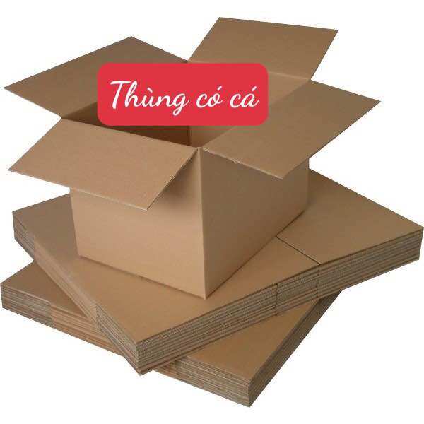 THÙNG CARTON ĐÓNG PINGPONG SIZE 1N