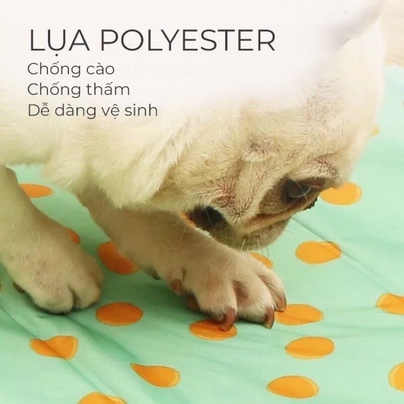 Đệm Làm Mát - Đệm mùa hè cho chó mèo